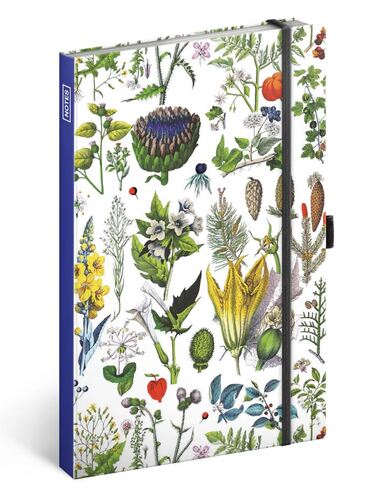 Notes Bylinky Kateřiny Winterové, bodkovaný, 13 × 21 cm