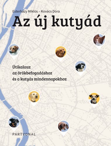 Az új kutyád