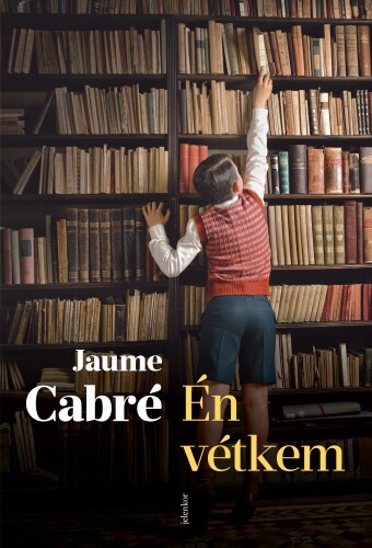 Én vétkem