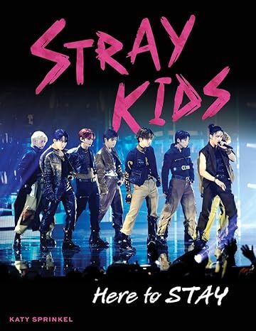 Stray Kids - Here to STAY