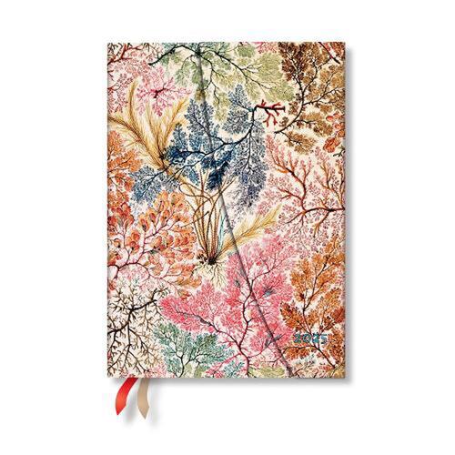 Diár 2025 Anemone Midi HOR Paperblanks