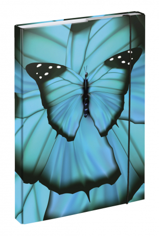 Dosky na školské zošity A4 Butterfly Baagl