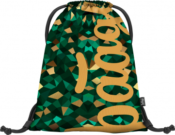 Vrecko Skate Polygon Baagl