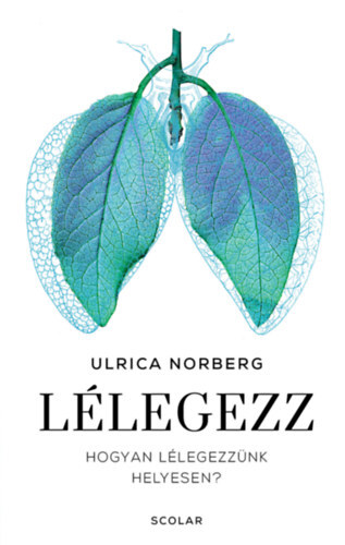 Lélegezz - Hogyan lélegezzünk helyesen?