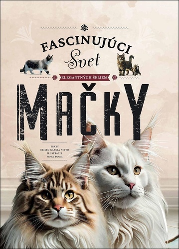Mačky