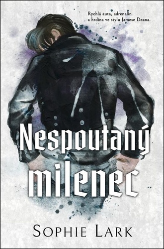 Podsvětí Chicaga 3: Nespoutaný milenec