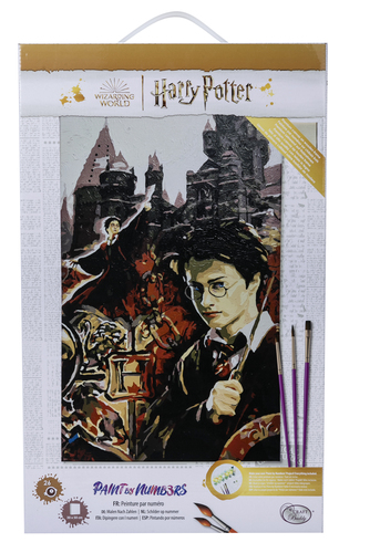 Obraz Harry Potter (30x50 cm) maľovanie podľa čísel