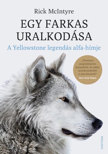 Egy farkas uralkodása