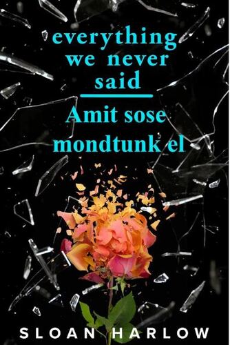 Everything We Never Said - Amit sose mondtunk el