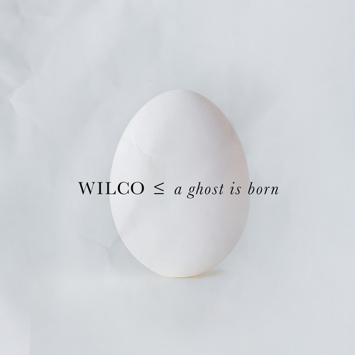 Wilco - A Ghost Is Born: 20th Anniversary (Limited) 9LP+4CD