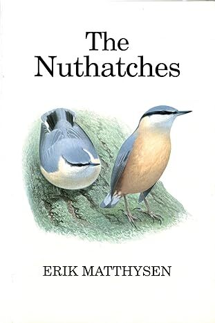 The Nuthatches