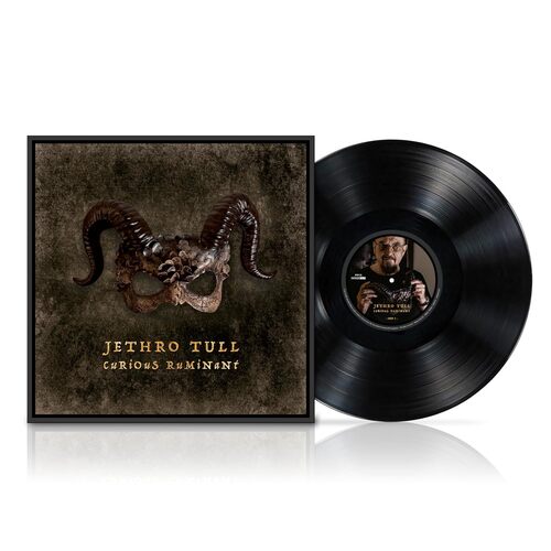 Jethro Tull - Curious Ruminant LP