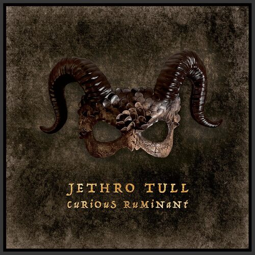Jethro Tull - Curious Ruminant CD