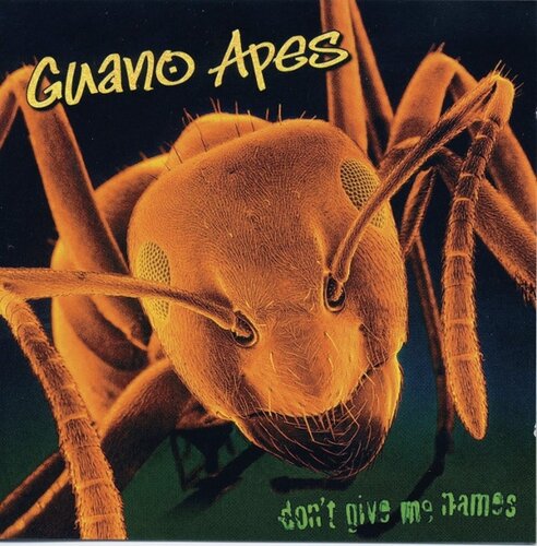 Guano Apes - Don't Give Me Names LP