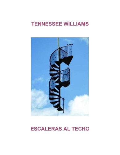 Escaleras al techo