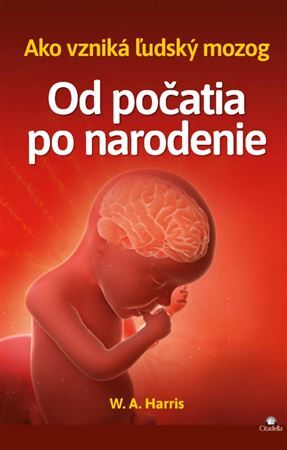 Od počatia po narodenie