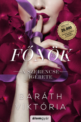 A szerencse ígérete - A főnök 3
