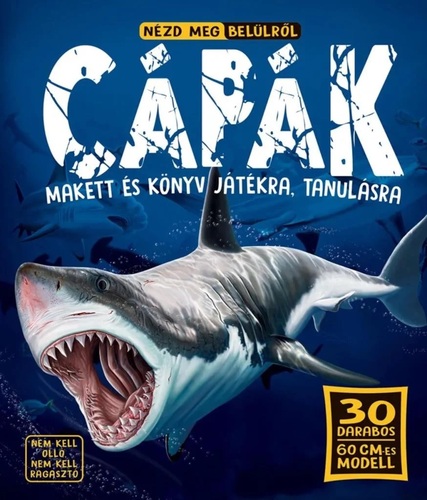 Nézd meg belülről: Cápák