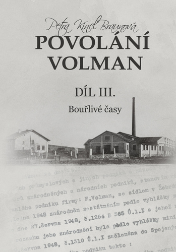 Povolání Volman 3: Bouřlivé časy