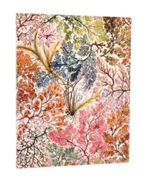 Zápisník Anemone Ultra Lined Paperblanks