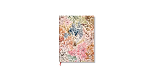 Zápisník Anemone Mini Lined Paperblanks