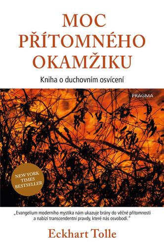 Moc přítomného okamžiku, 3. vydání