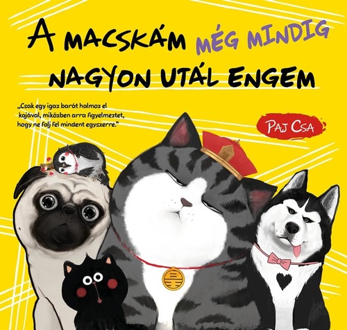 Macska és kutya 3: A macskám még mindig nagyon utál engem