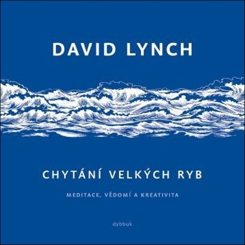 Chytání velkých ryb