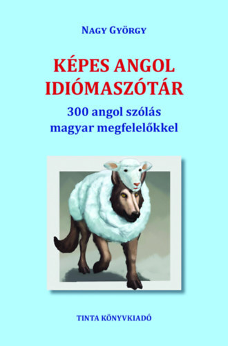 Képes angol idiómaszótár - 300 angol szólás magyar megfelelőkkel