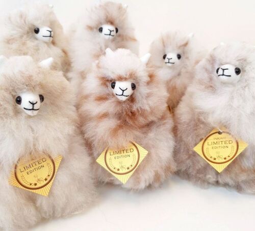 Plyšová hračka Alpaca Limited edition MINI SNOW LEOPARD