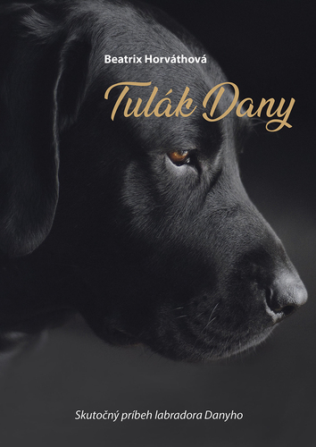 Tulák Dany