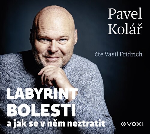 Labyrint bolesti - audiokniha na CD