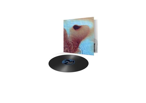 Pink Floyd - Meddle (Remastered) LP