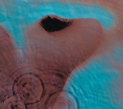 Pink Floyd - Meddle CD