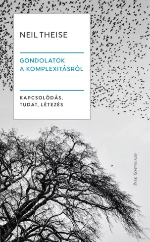 Gondolatok a komplexitásról