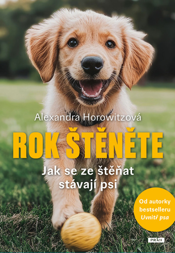 Rok štěněte