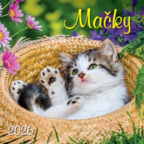 Nástenný kalendá 2026 Mačky štvorec