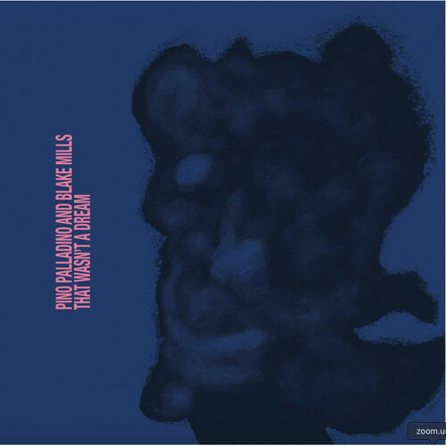 Palladino Pino & Blake Mills - That Wasn't A Dream CD