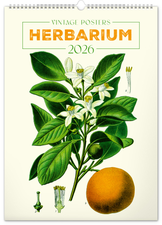 Nástenný kalendár 2026 Vintage plagáty – herbár 2026, 33 x 46 cm