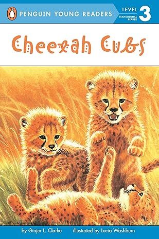 Cheetah Cubs