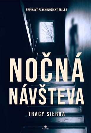 Nočná návšteva