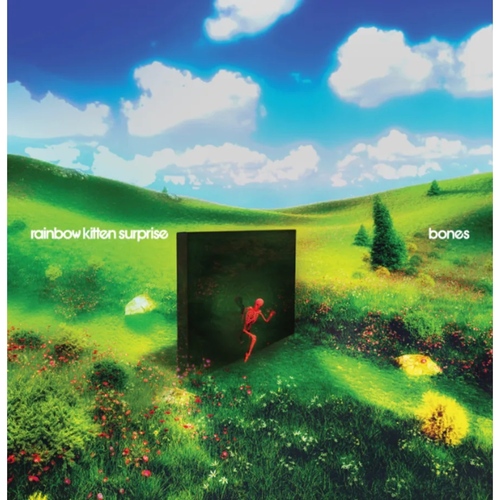 Rainbow Kitten Surprise - Bones CD