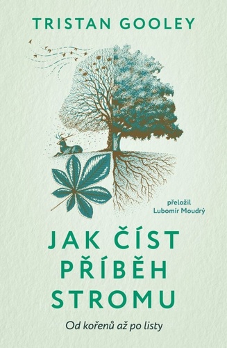 Jak číst příběh stromu