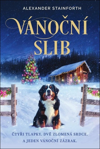 Vánoční slib