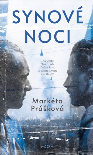 Synové noci