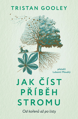 Jak číst příběh stromu