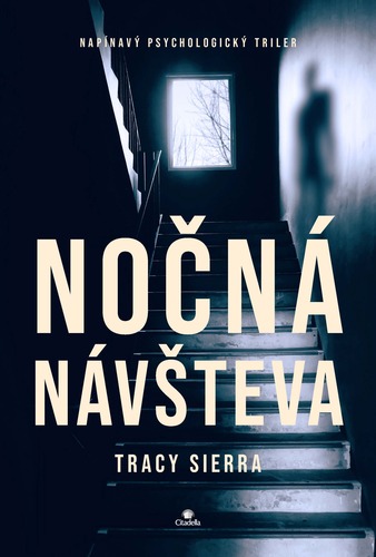 Nočná návšteva