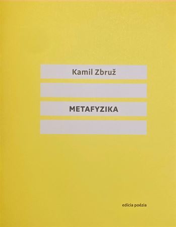 Metafyzika