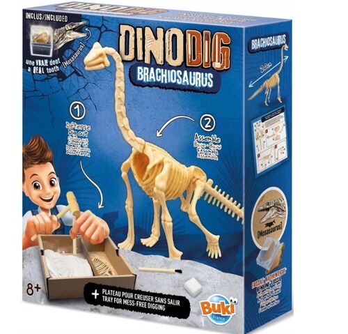 Výkop dinosaurov  Brachiosaurus