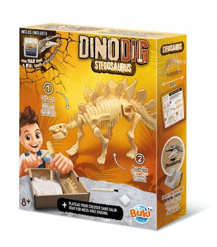 Výkop dinosaurov  Stegosaurus